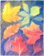 Bild: Pastellfarben - Herbstblätter